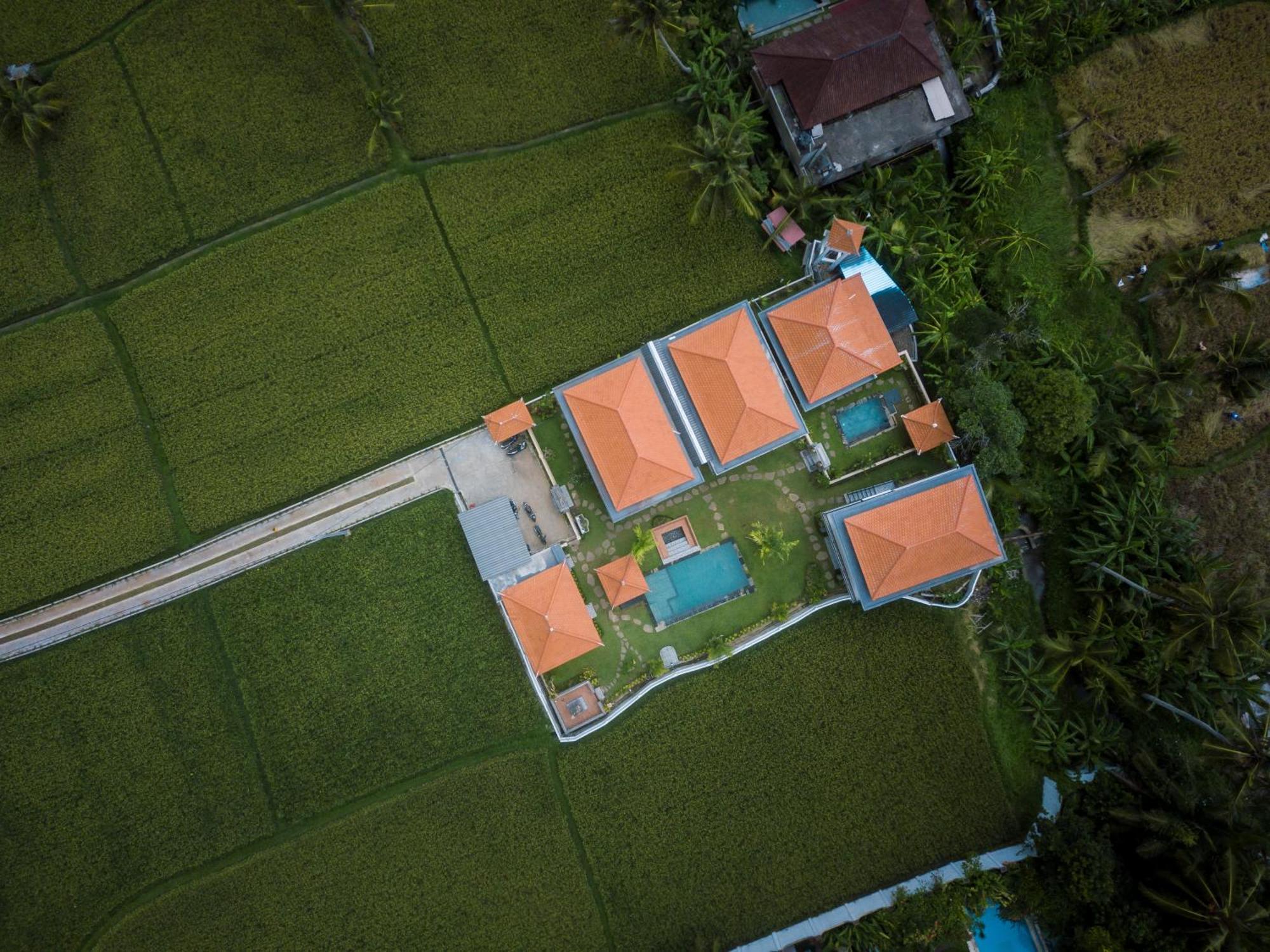 The Patra Ubud المظهر الخارجي الصورة
